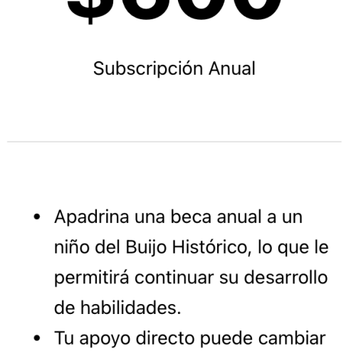 Beca Anual