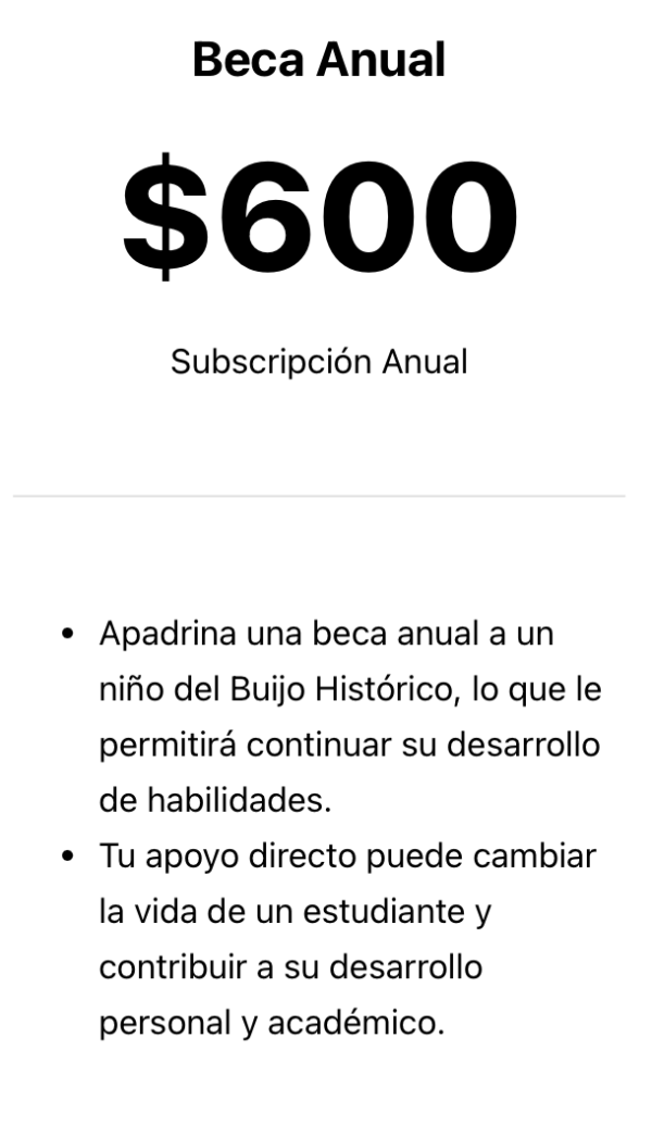 Beca Anual